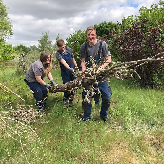 Three young people carry a branch across a wild Meadow